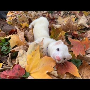 Meet your Posher, Hannah